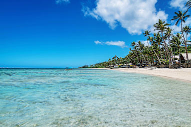 Fiji 