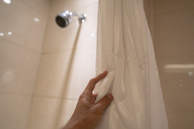 Shower curtain