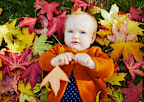 Happy little child, baby girl laughing and playing with colorful autumn leaves outdoors on a sunny fall day. Outdoors seasonal activities for kids�