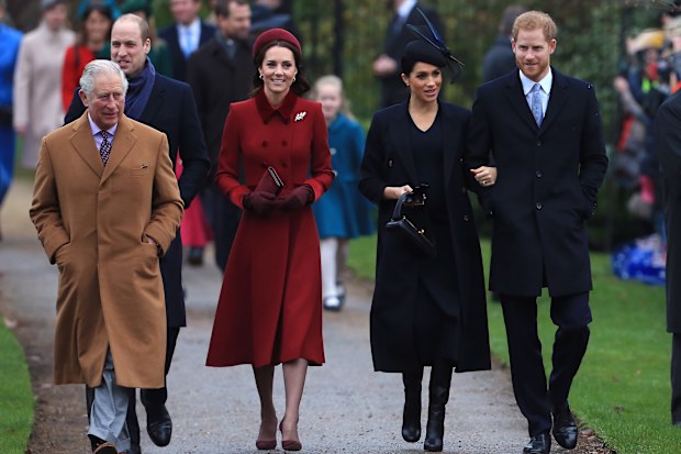 king charles and prince harry