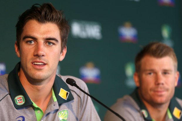 Pat Cummins and David Warner address the media at a press conference.
