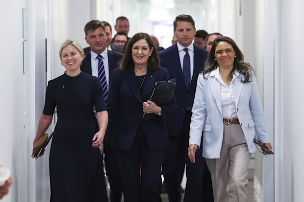 Senator Jessica Collins, Shadow Minister for Defence Angus Taylor, Senator Sarah Henderson, Member for Canning Andrew Hastie, Senator Jacinta Nampijinpa Price together with other Liberal MPs and Senators, arrive for a Liberal party room meeting, at Parliament House in Canberra on Wednesday 12 November 2025.