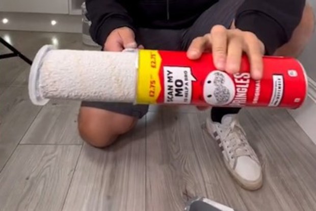 DIY guru's clever paint roller storage hack