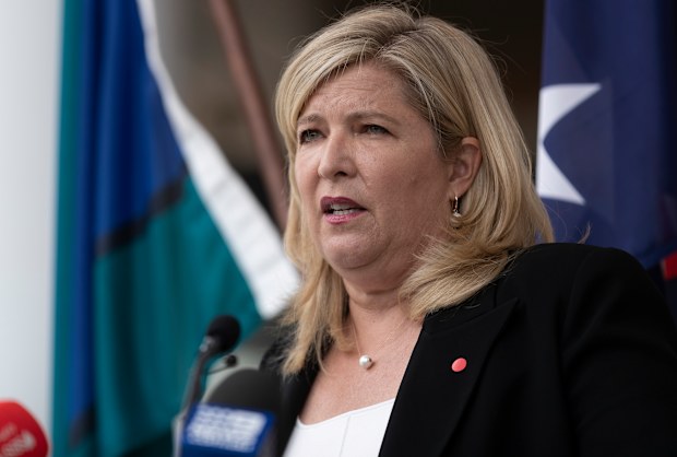 Minister for Mental Health Bronnie Taylor in 2020.