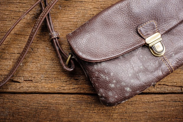 mould on old brown leather bag, fungus on leather bag