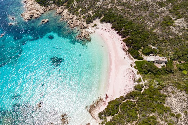 Aerial view of Spiaggia Rosa, Maddalena island, Sardinia, Italy.