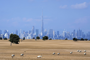7: United Arab Emirates