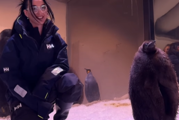 Katy Perry meets pesto the penguin in Melbourne
