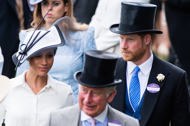 meghan markle king charles new book