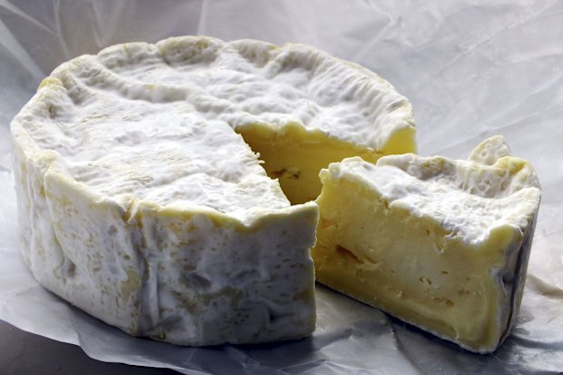 Camembert cheese