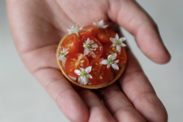 Michael Wilson's Marguerite. Aged Kingfish Tart 