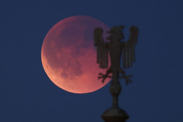 blood moon