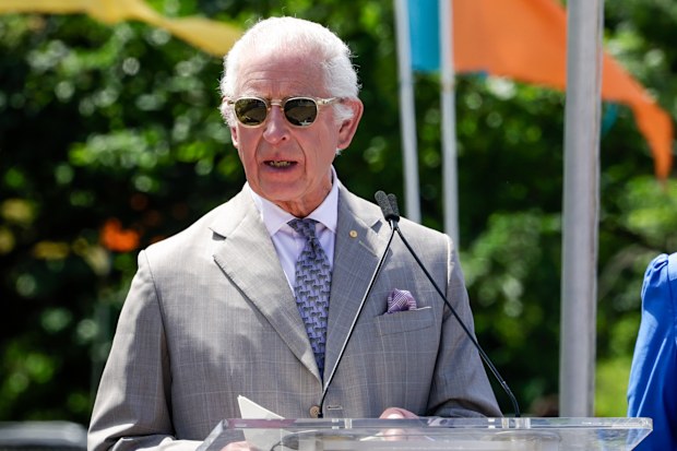 King Charles III speaks to the public as Queen Camilla watches during the Premier's Community BBQ on October 22, 2024 in Sydney, Australia. The King's visit to Australia will be his first as Monarch, and CHOGM in Samoa will be his first as Head of the Commonwealth. 