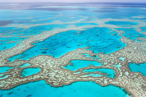 Aerial view of the Great Barrier Reef in Australia.