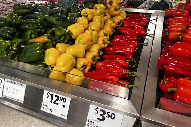 capsicum shortage