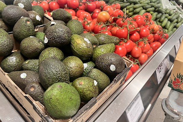 tomatoes cost and availability shortage and surge in price australia explainer