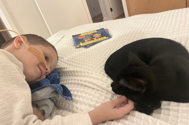 neuroblastoma jack and his family new kitten caviar hills cat rescue the kids cancer project