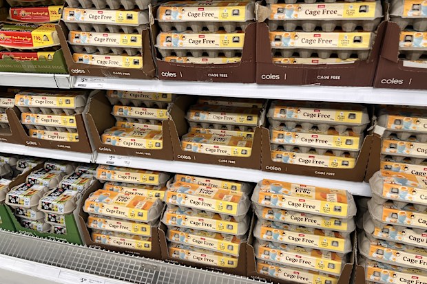 eggs at coles cage free