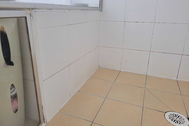 moudly shower grout