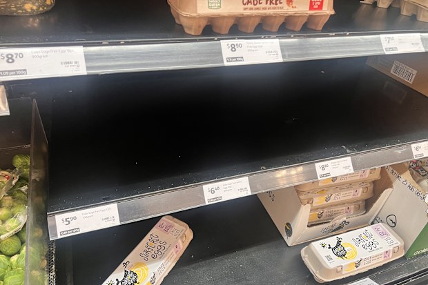 eggs supplies australian supermarkets