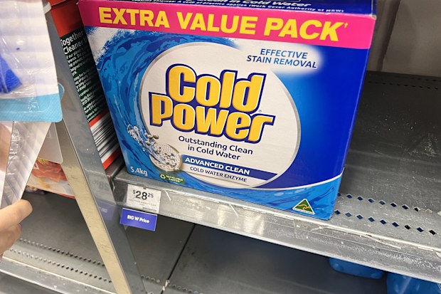 bulk cleaning products big w price comparison