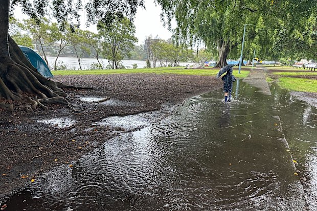 Puddles on a footpath at Orleigh Park in West End, Brisbane, on November 17, 2024, after storms brought heavy rain to the city. 