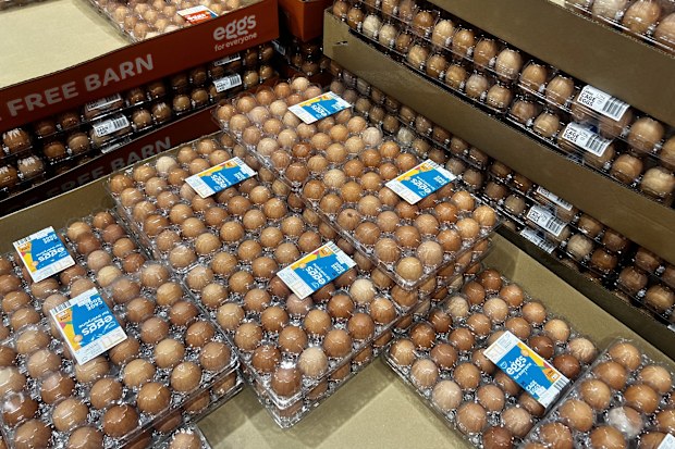 best supermarket eggs crowned canstar