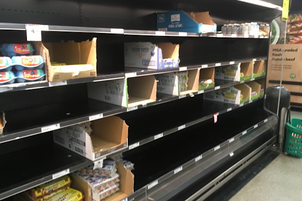 Supermarkets have struggled to keep up with demand, but more eggs are on the way.