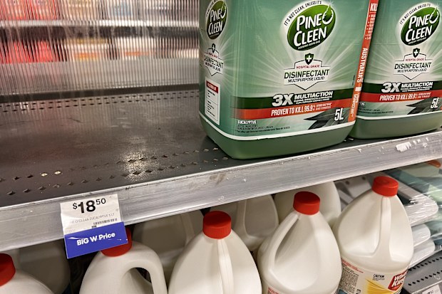 bulk cleaning products big w price comparison