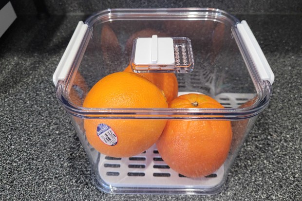 Kmart fridge storage container
