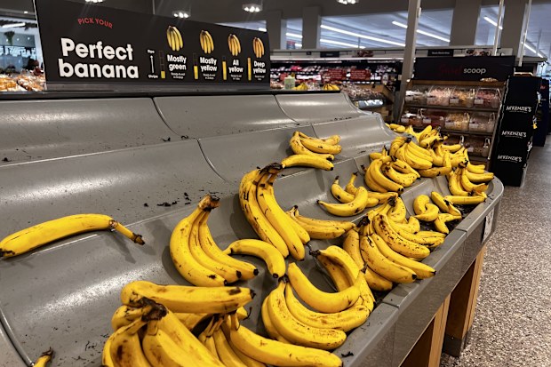 bananas appear ripe but are not due to the cool weather taking longer to ripen
