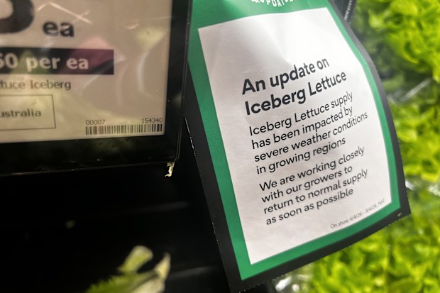 iceberg lettuce shortage woolworths customer notice