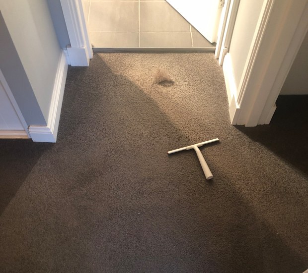 Carpet cleaning using a squeegee