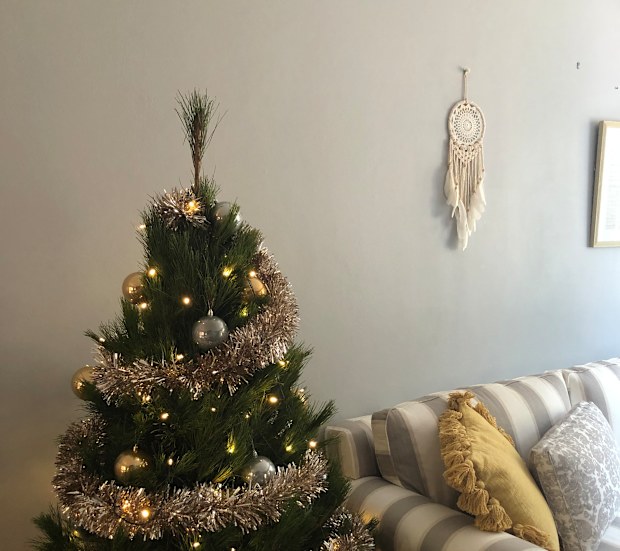 How to keep your real Christmas tree alive. 
