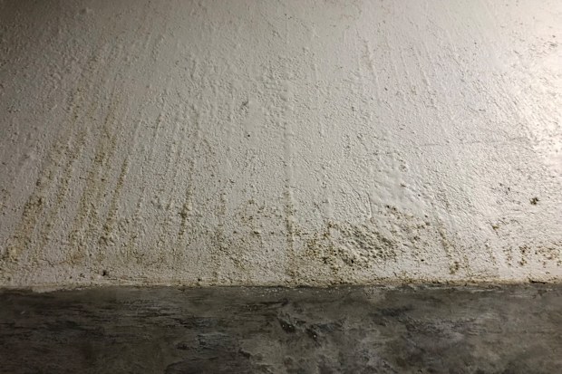 Mould on bathroom wall.