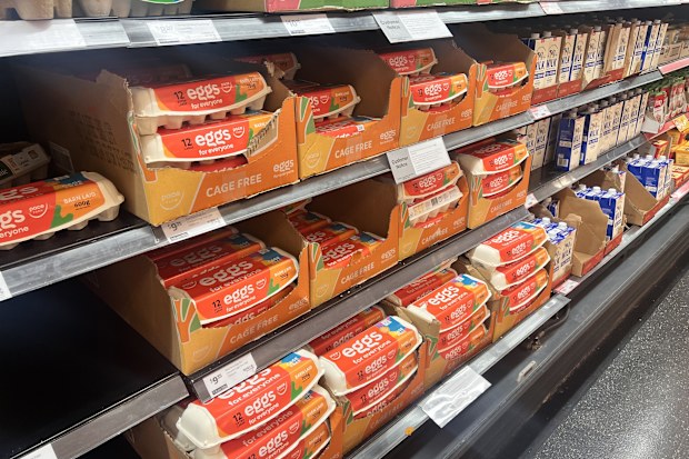 eggs supplies australian supermarkets