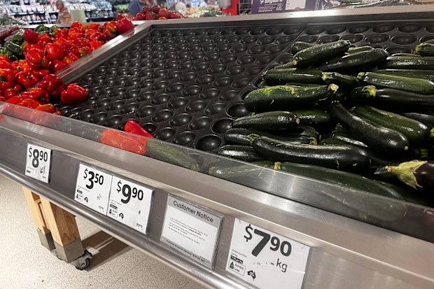 zucchini shortage