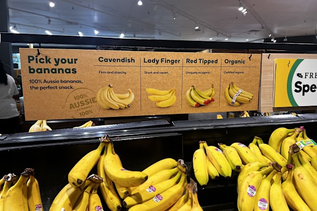 bananas appear ripe but are not due to the cool weather taking longer to ripen
