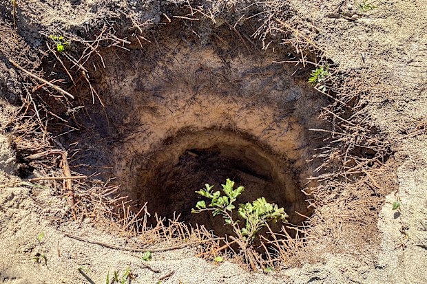 The well the animals fell down was narrow. 