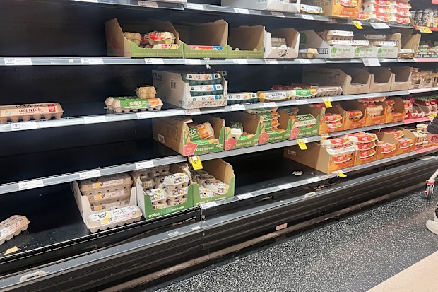 eggs supplies australian supermarkets