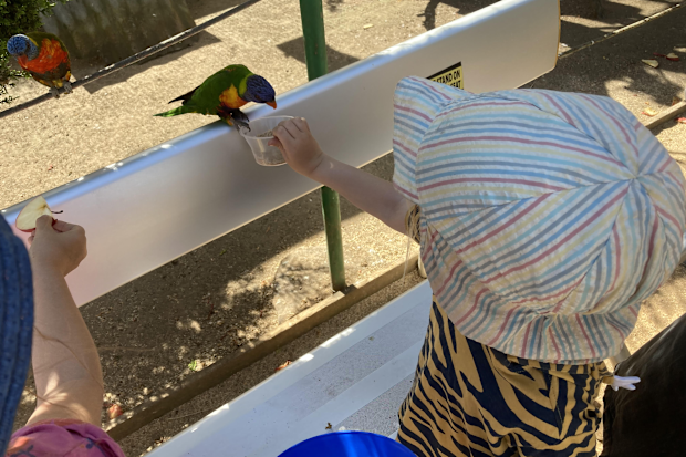Grab some mealworms to feed the birds at the walk-in aviary.