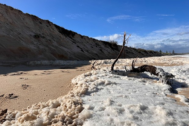 NSW Weather update: central coast beaches debris trees wash up