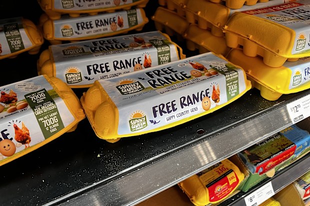 best supermarket eggs crowned canstar