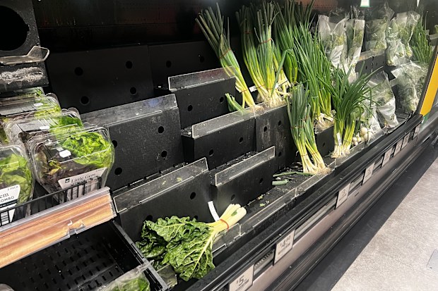 bok choy and pak choy shortage coles woolworths box divvy market update