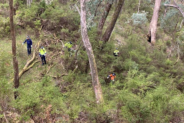 Over the past two days, police have been conducting a search at the Mount Buffalo National Park as part of ongoing efforts to locate Desmond Freeman.
