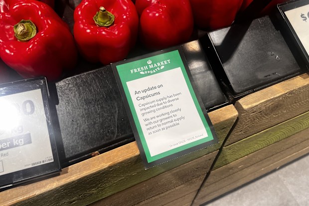 capsicum shortage supermarkets