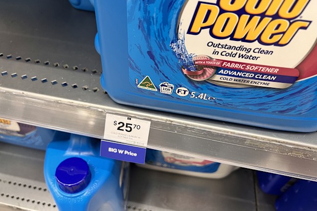 bulk cleaning products big w price comparison