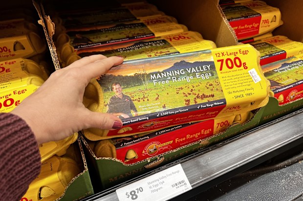 best supermarket eggs crowned canstar