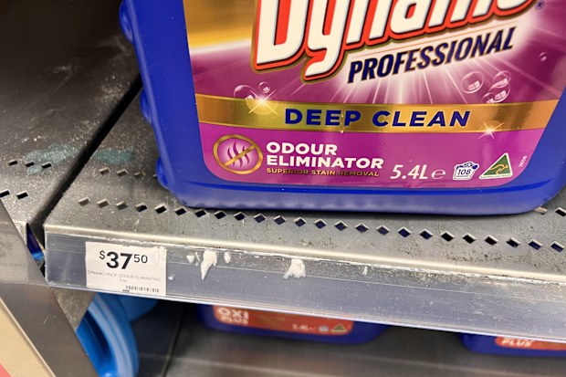 bulk cleaning products big w price comparison
