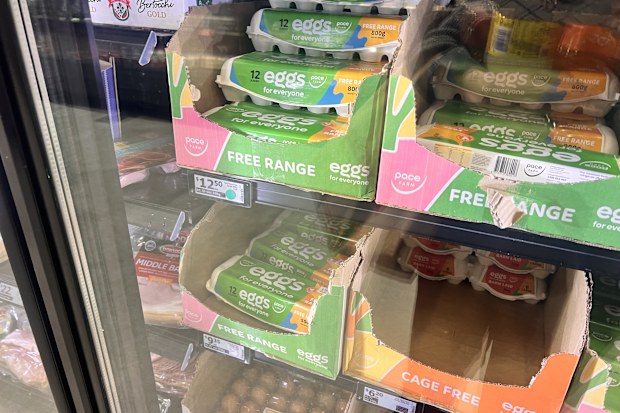 eggs supplies australian supermarkets
